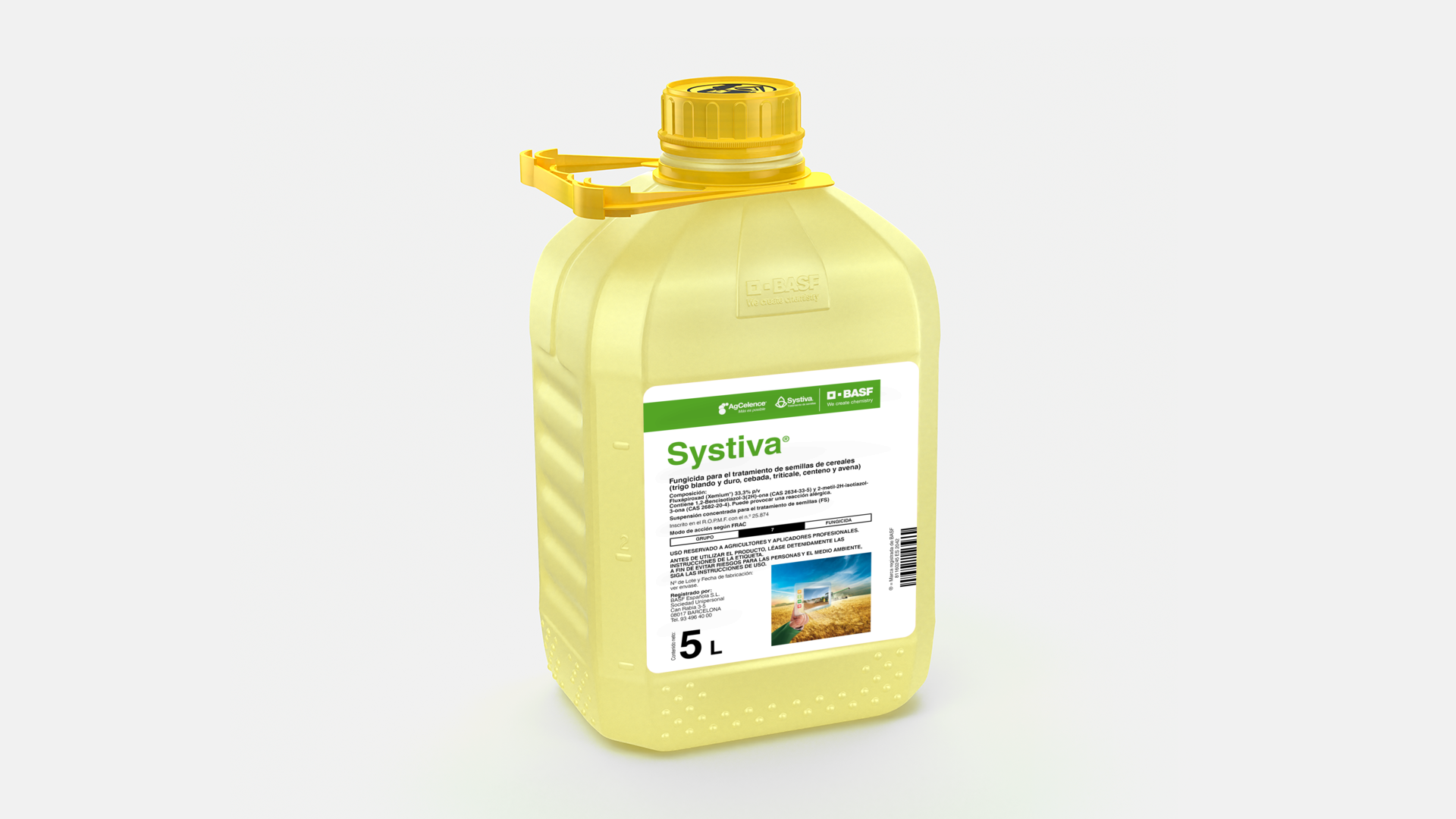  Systiva_58039842_ES